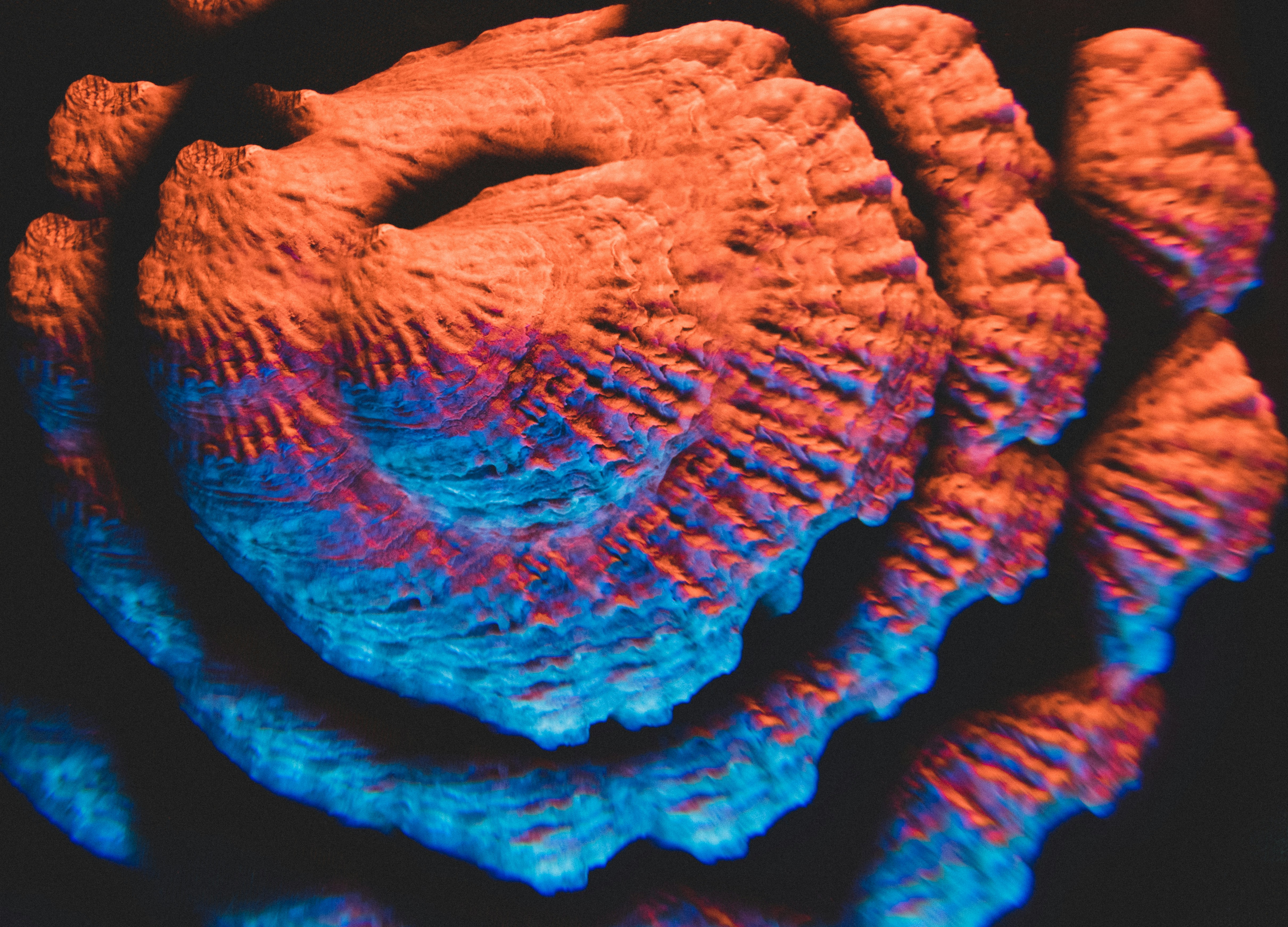 erdei greta L3znjkUybkI unsplash