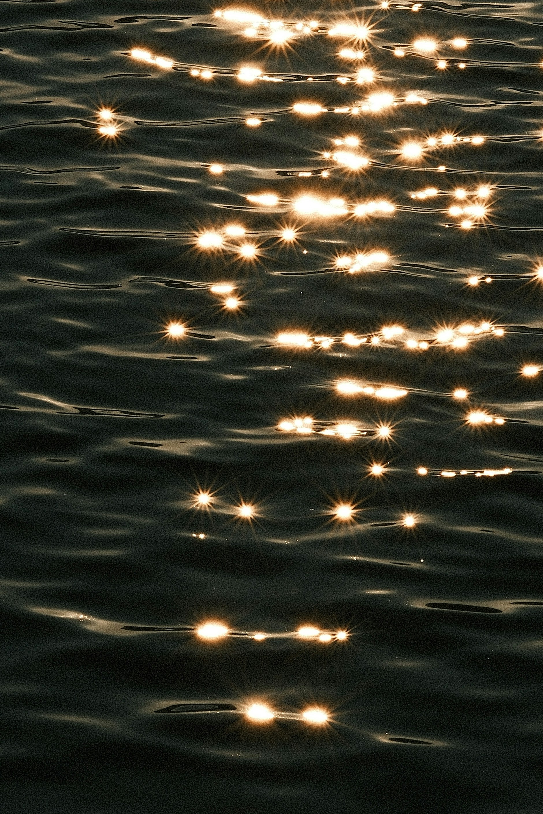 jungmin lee UY8eFi3W1kI unsplash