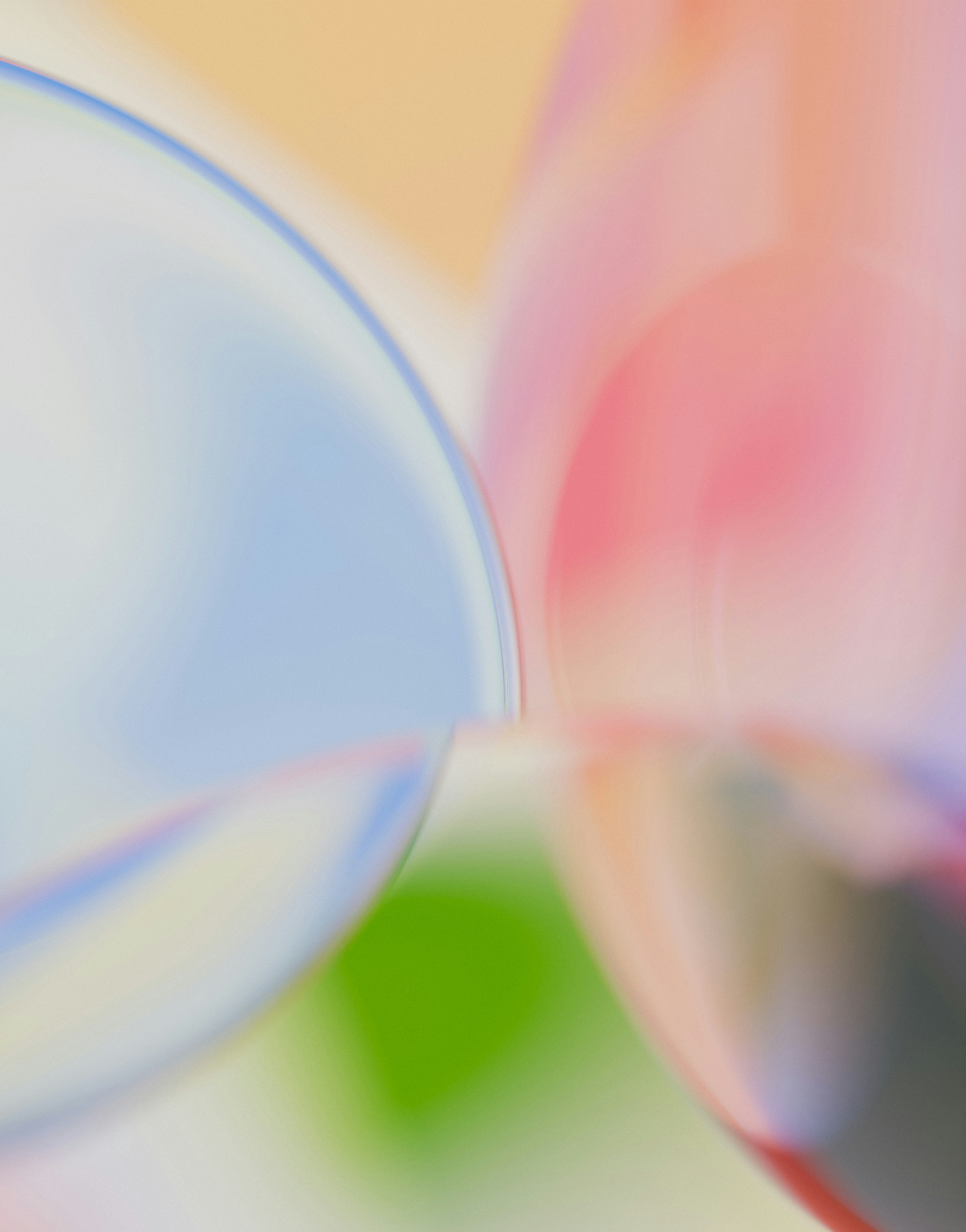 curaits 7l28asbVgxQ unsplash